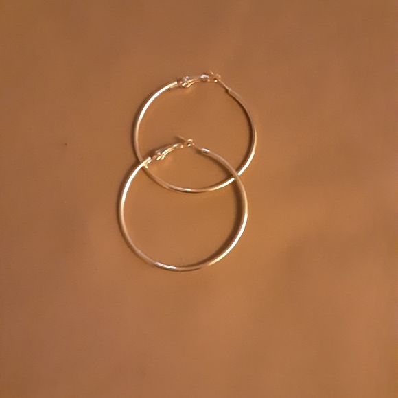 Large circle fashion jewelry thin earrings (350) - Picture 3 of 5